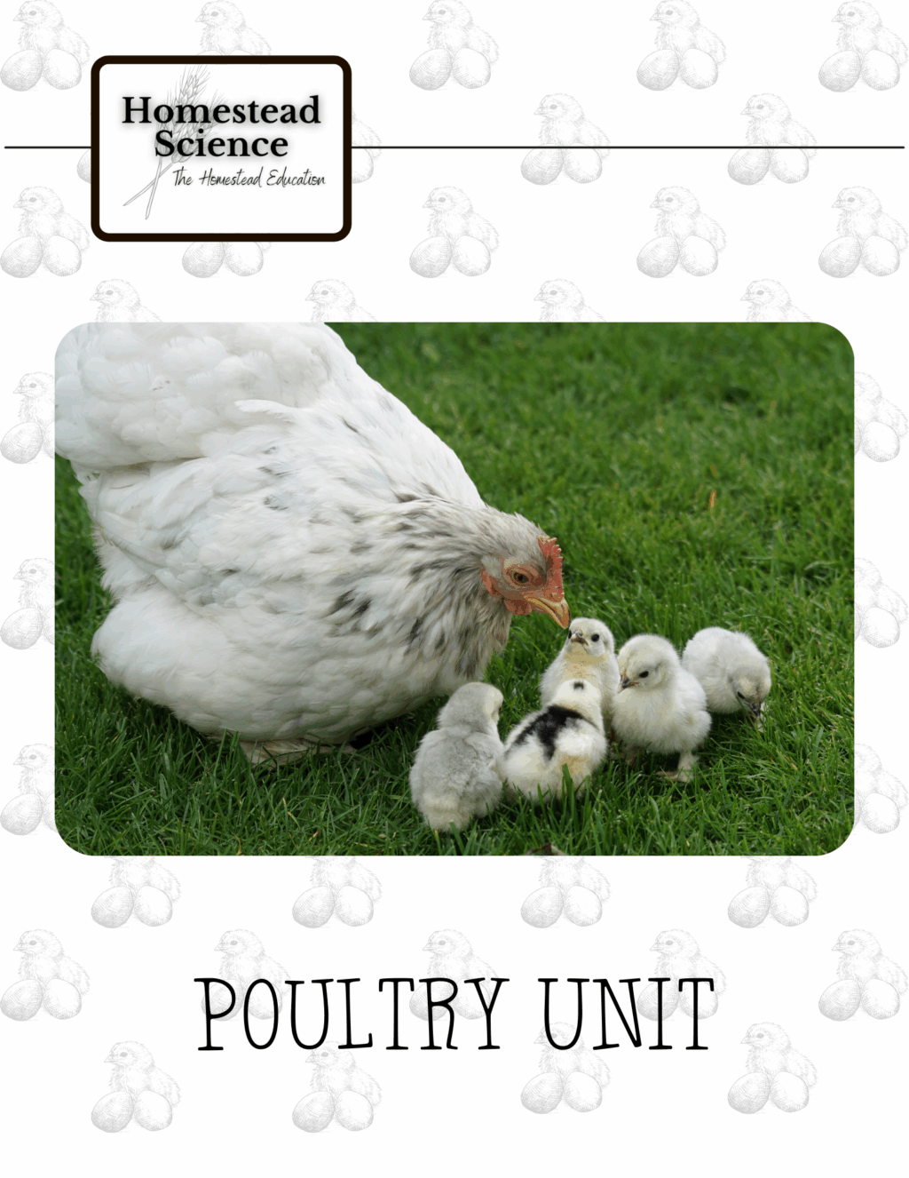 Homestead Science Poultry Unit