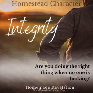 integrity character