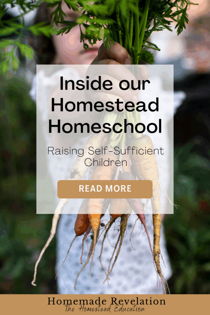 homestead homeschool