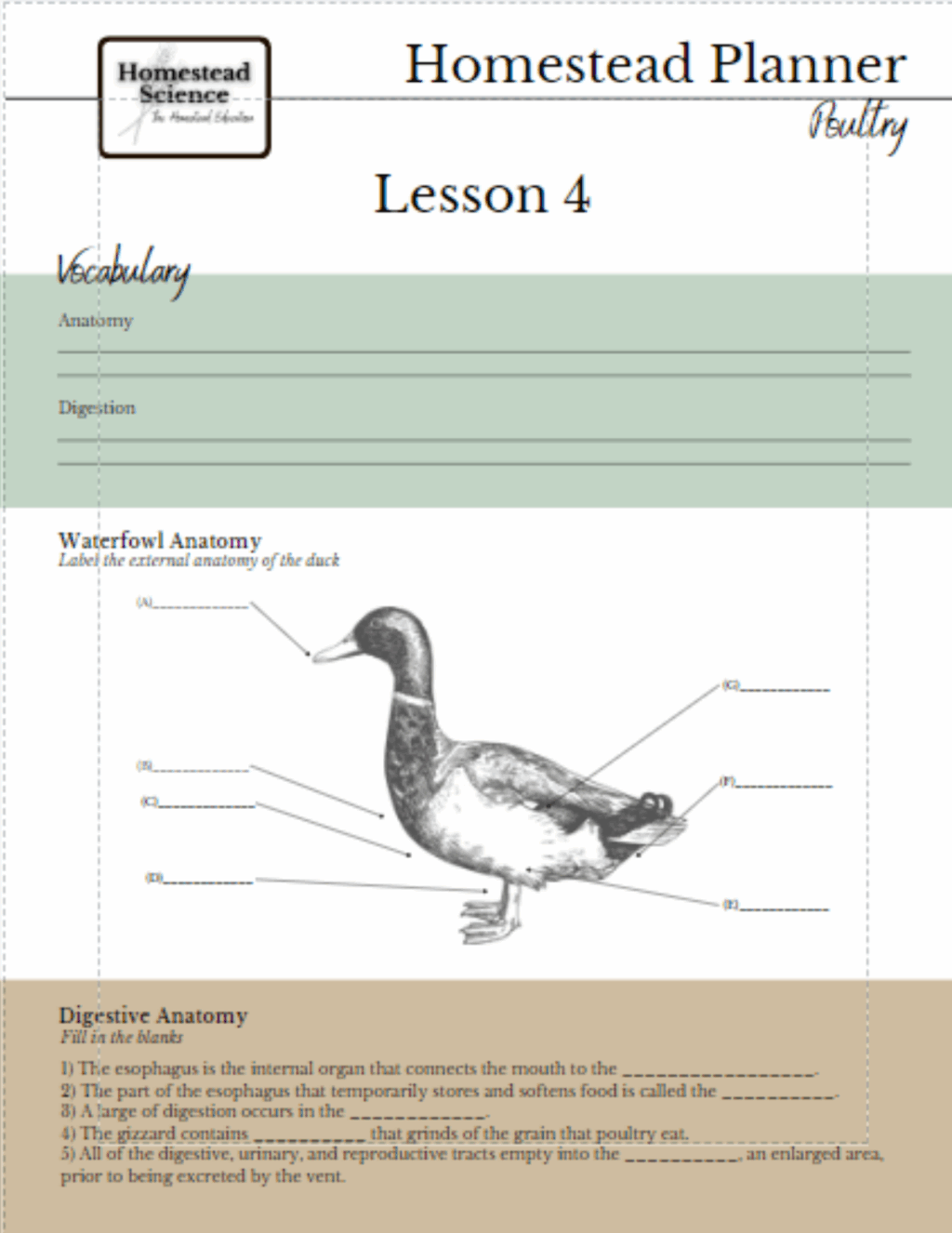 Introduction to Homestead Science Sample