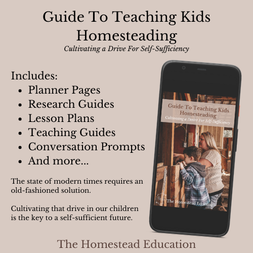 Guide to teaching kids homesteading