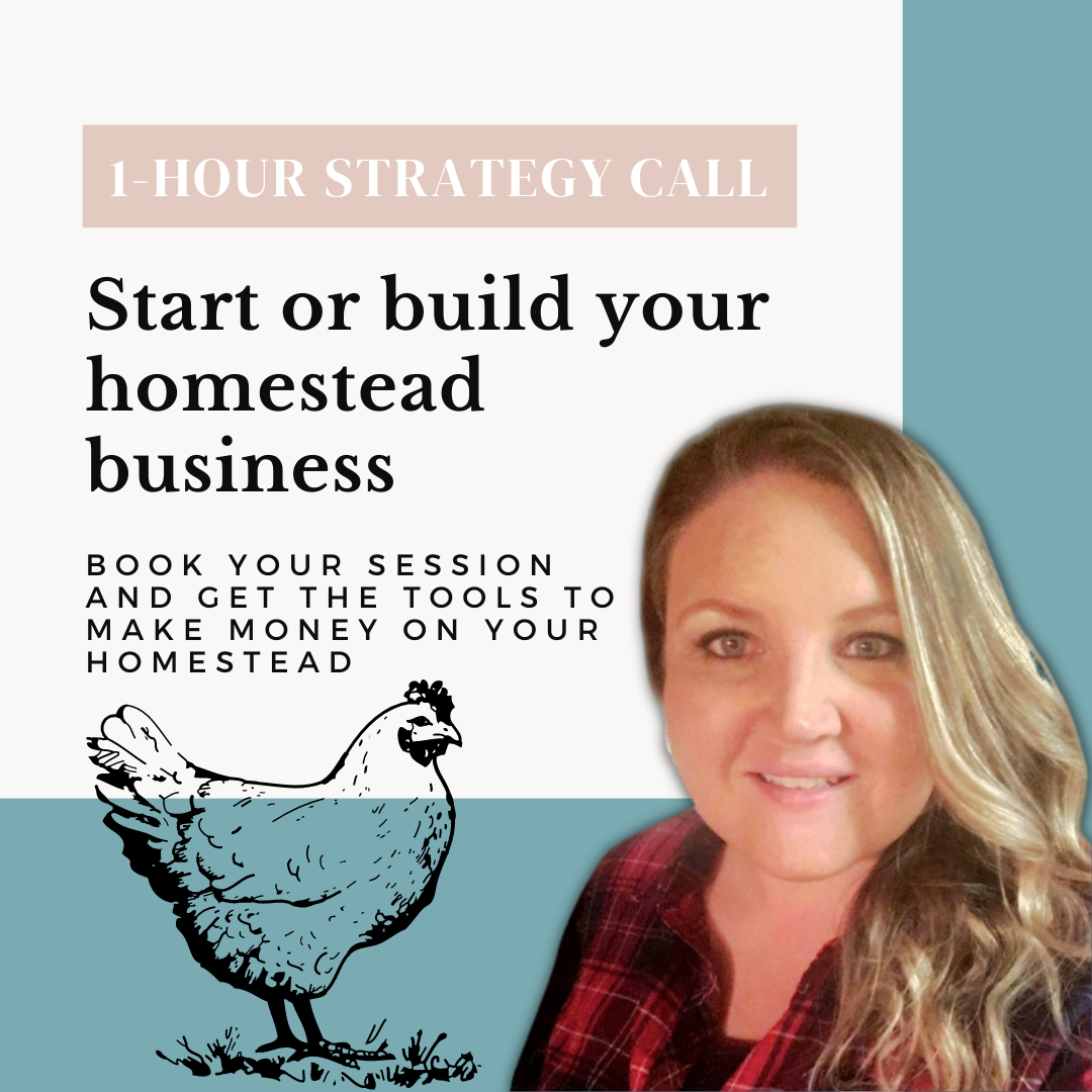 1-hour-homestead-business-consulting-strategy-call-the-homestead