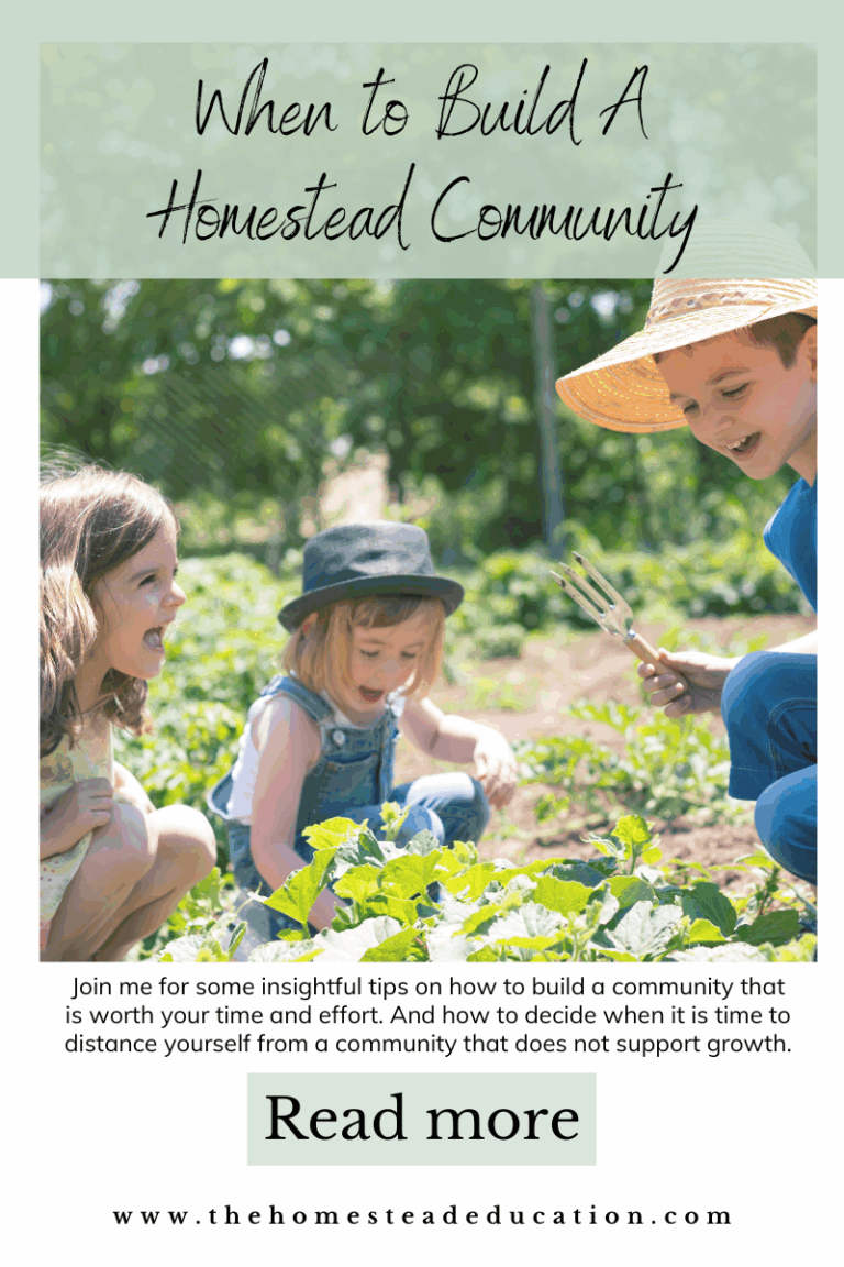 When To Build A Homestead Community And When To Walk Away - The ...