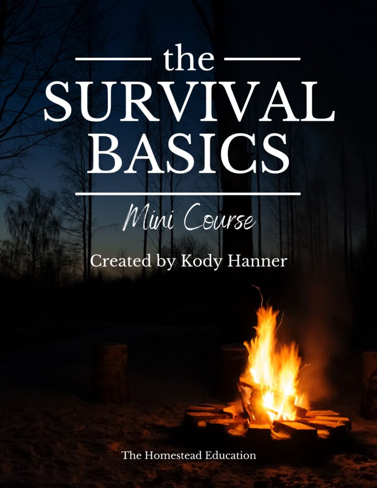 survival basics