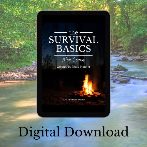 survival basics