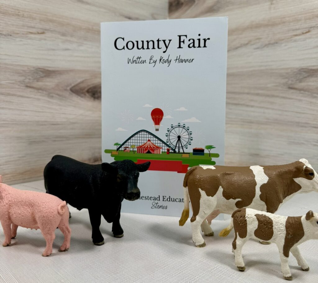 county fair story