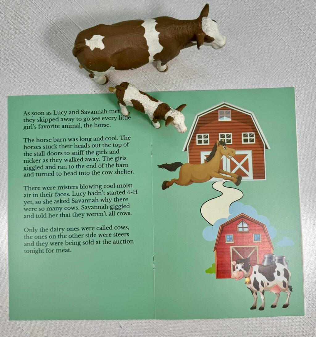 county fair story
