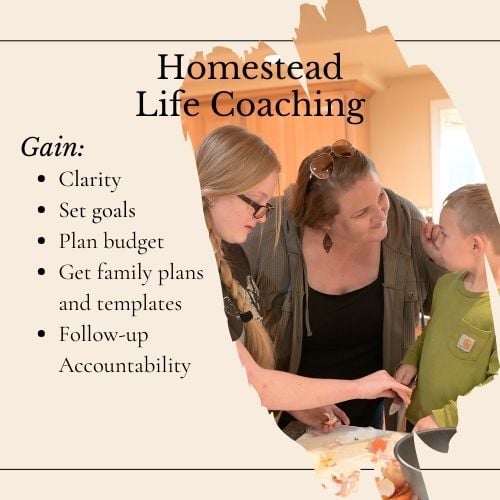 life coaching