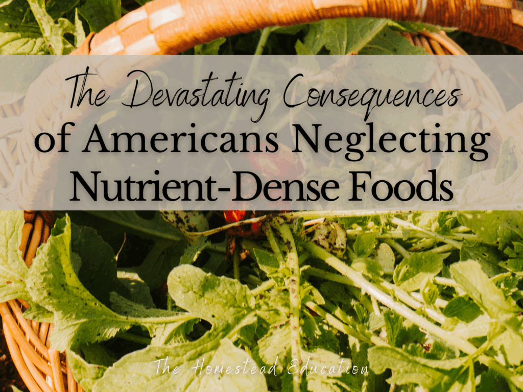 nutrient dense food