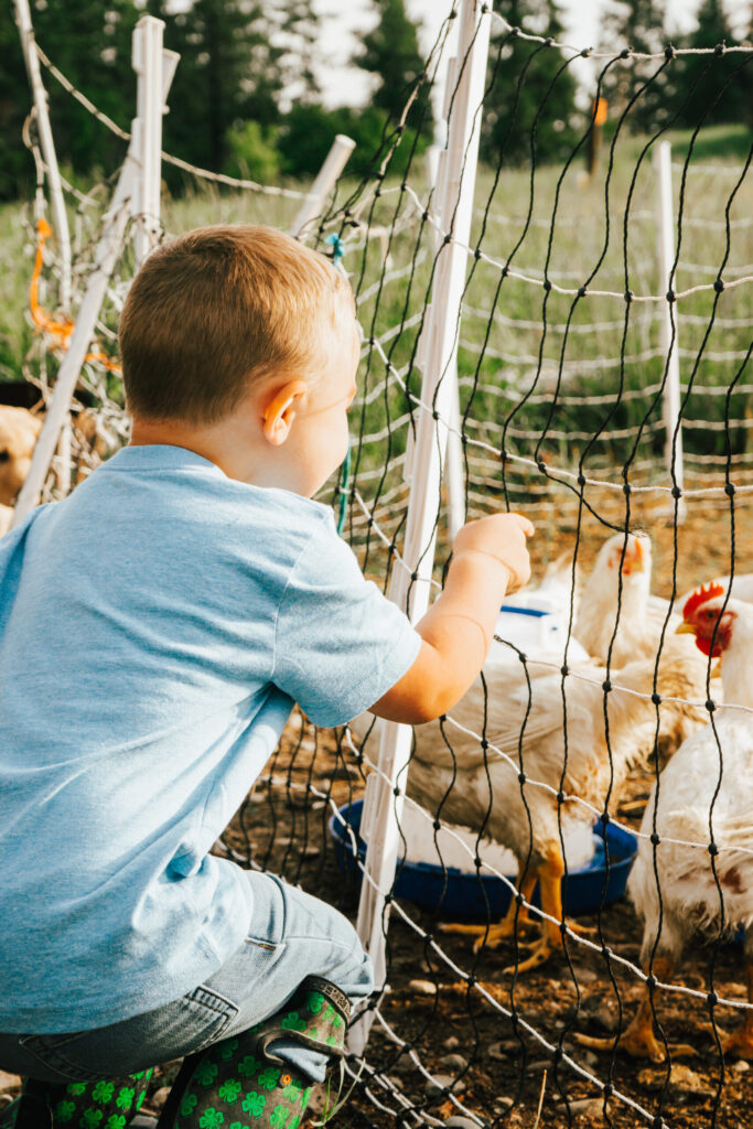 benefits of homestead science
