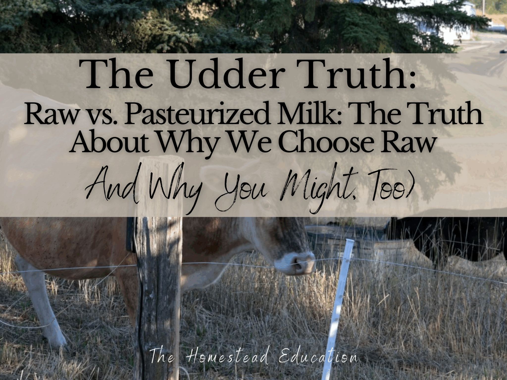 raw milk