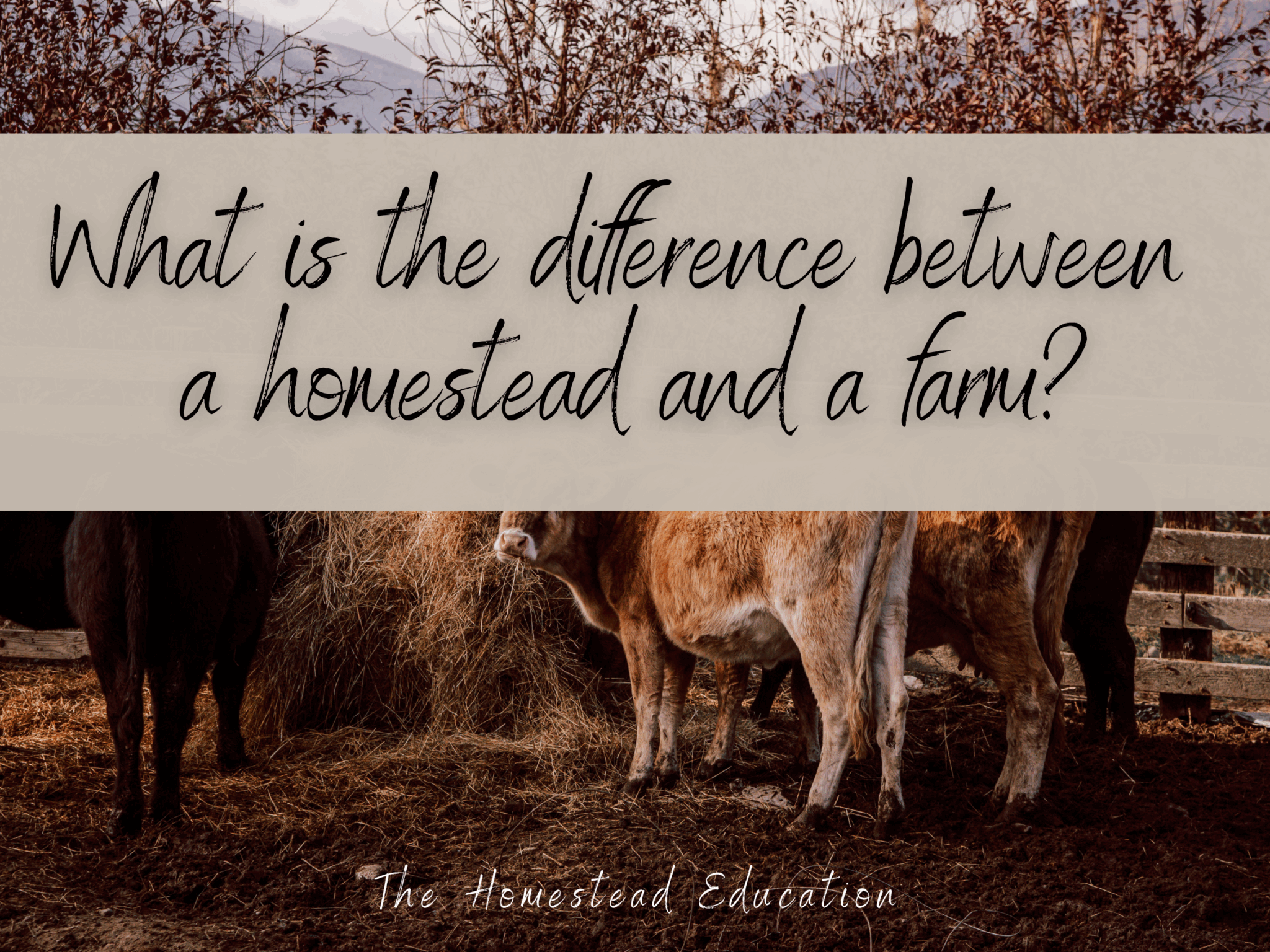 homestead