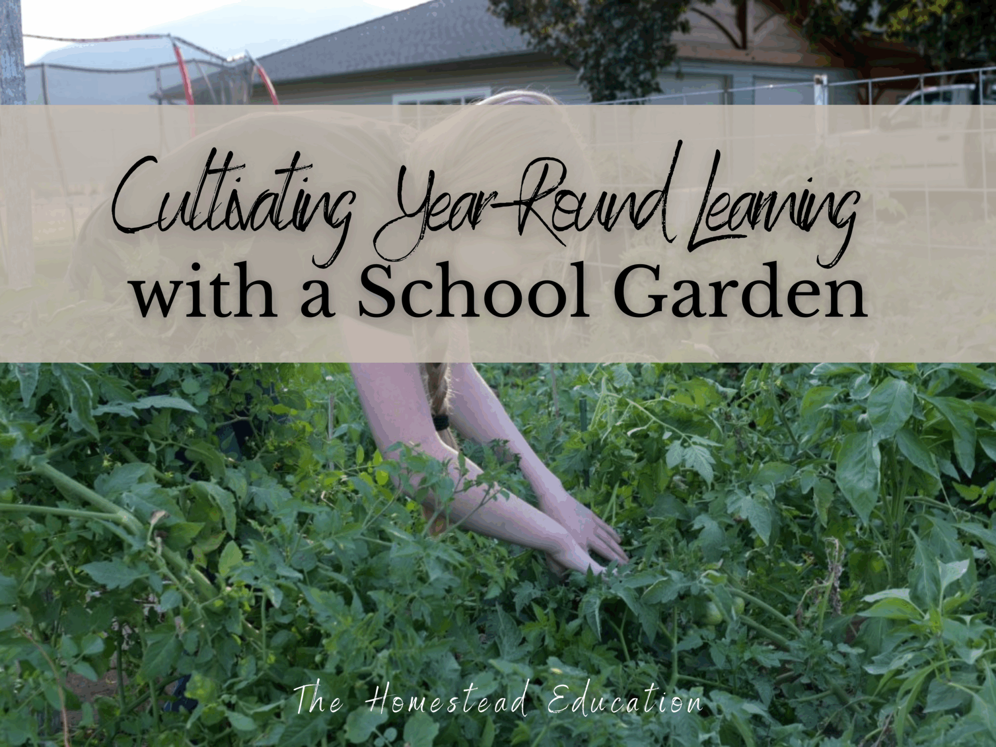 school garden