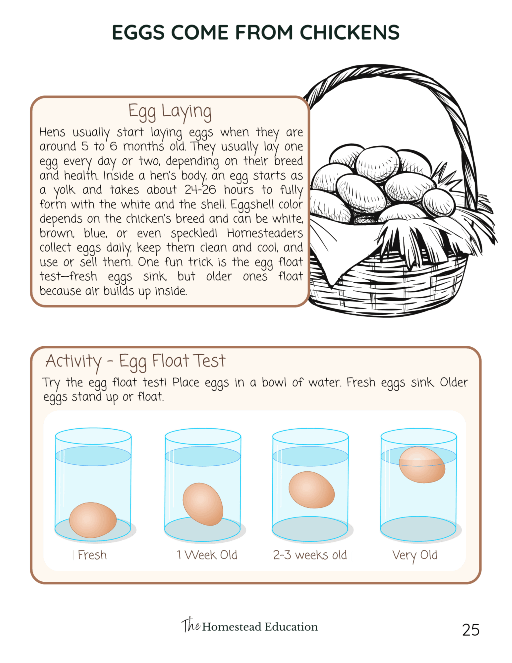 seasons on the homestead summer activity book