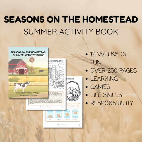 seasons on the homestead summer activity book