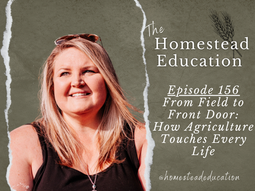 156 podcast blog post