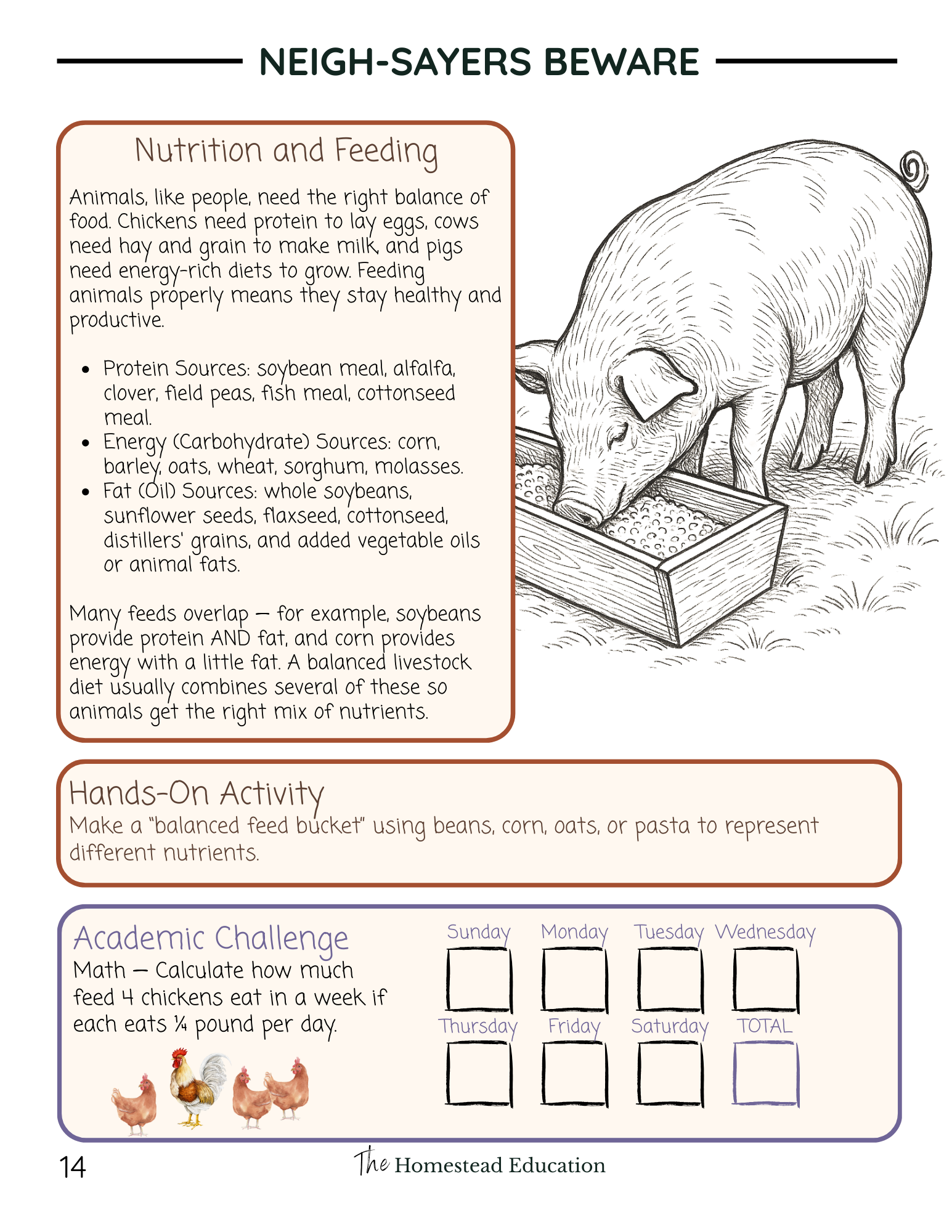 seasons on the homestead autumn educational activity book
