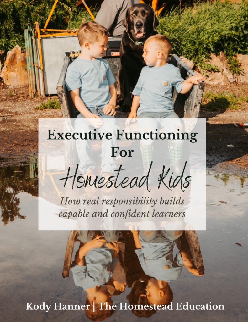 executive functioning cover