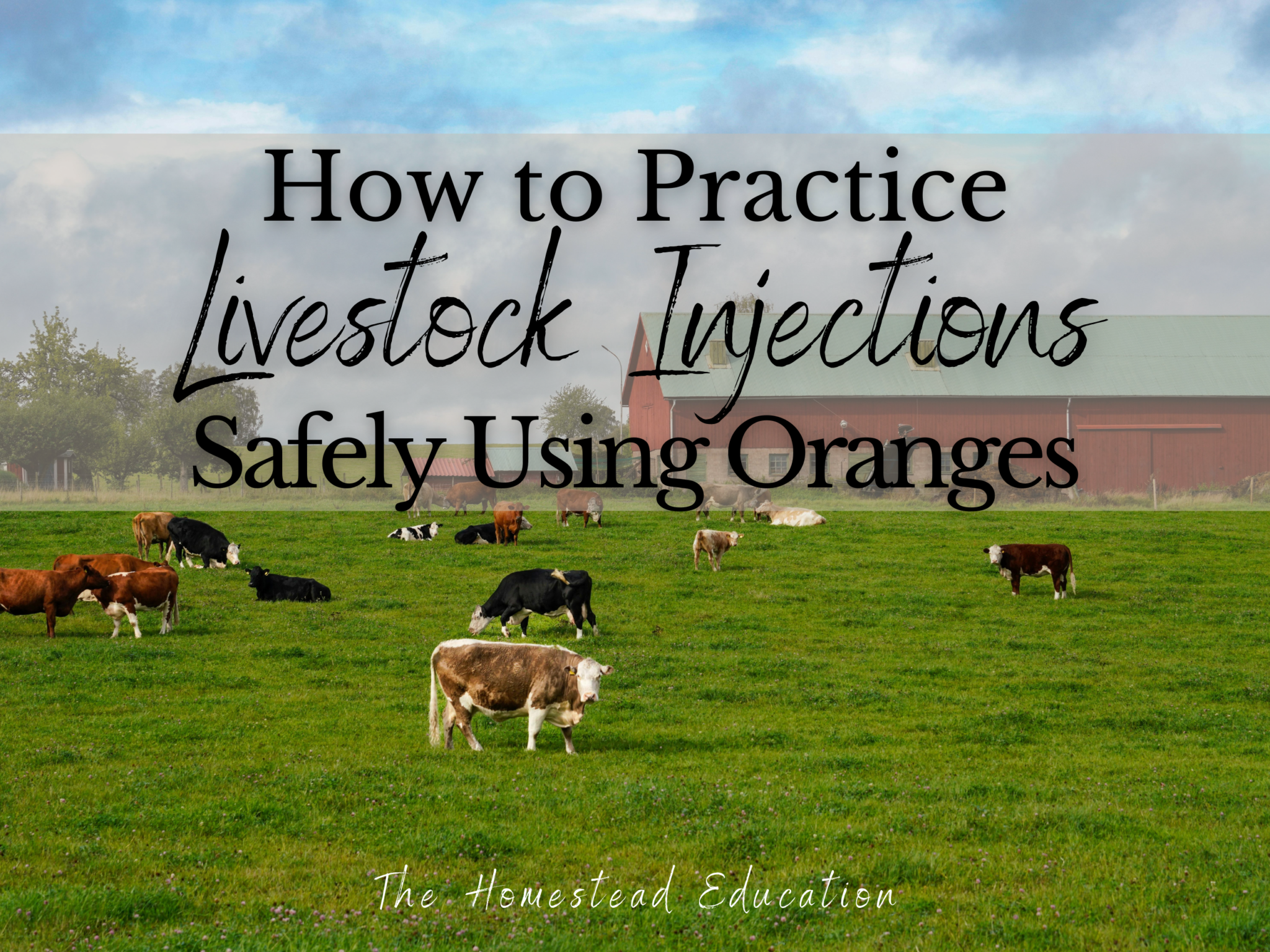 copy of large blog graphics