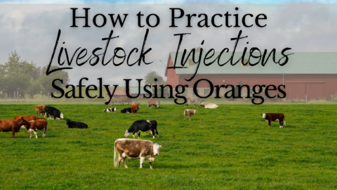 copy of large blog graphics