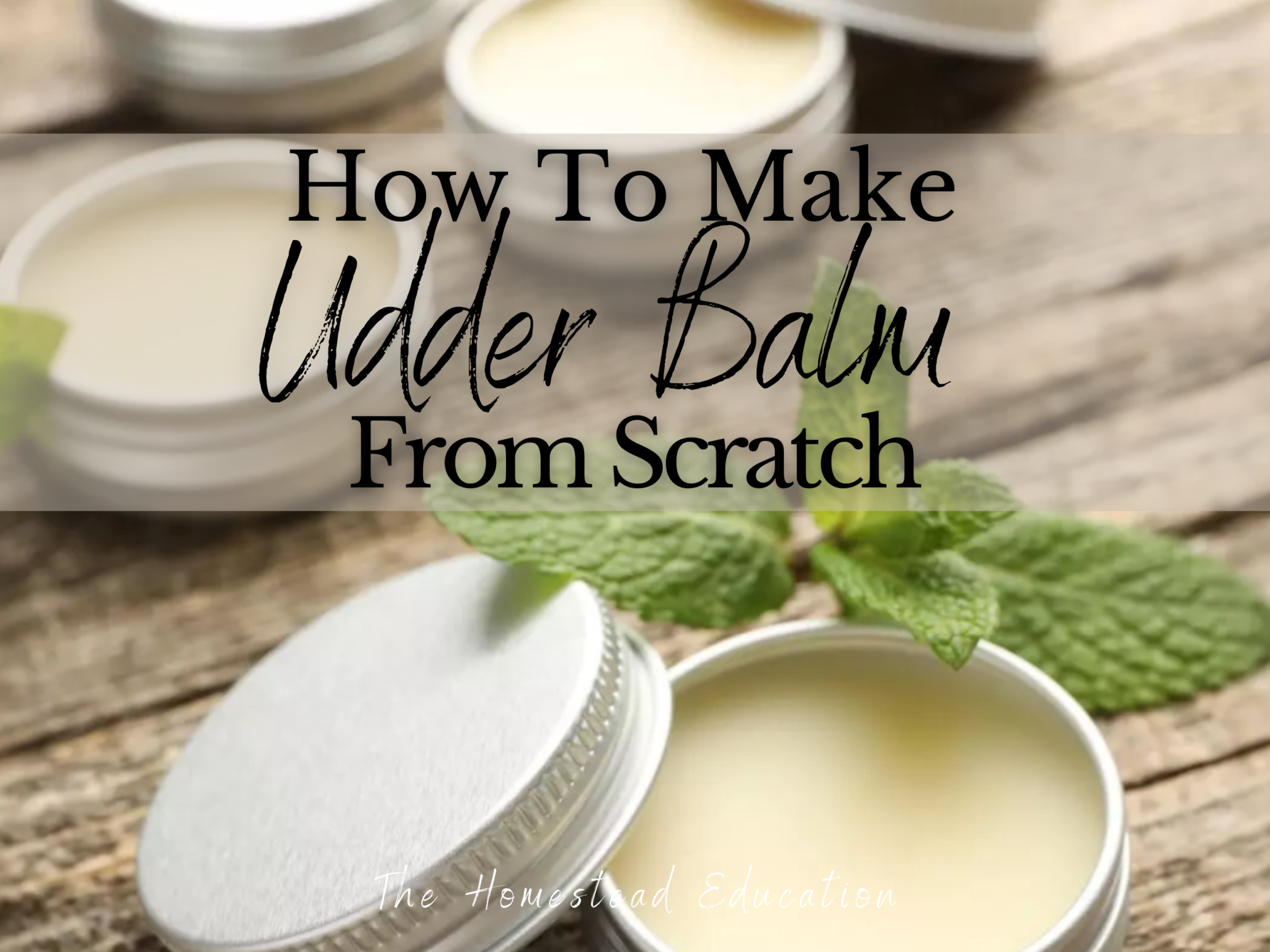 copy of large blog graphics 3