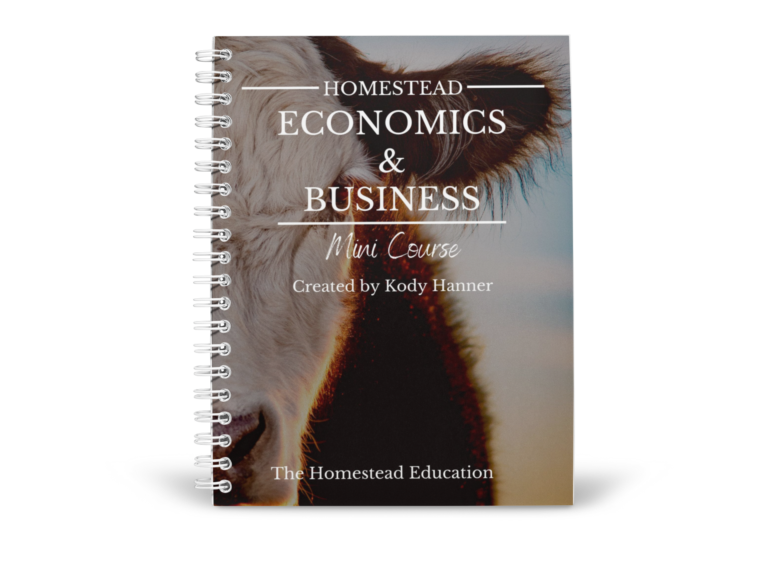 economics