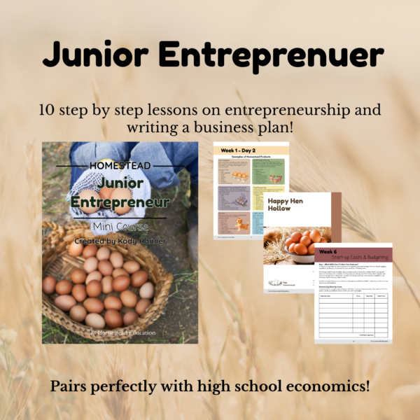 junior entrepreneurship mini course