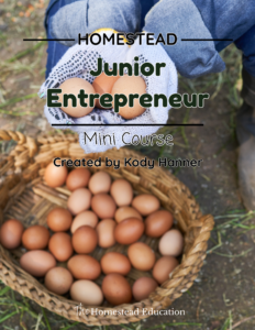 junior entrepreneurship mini course