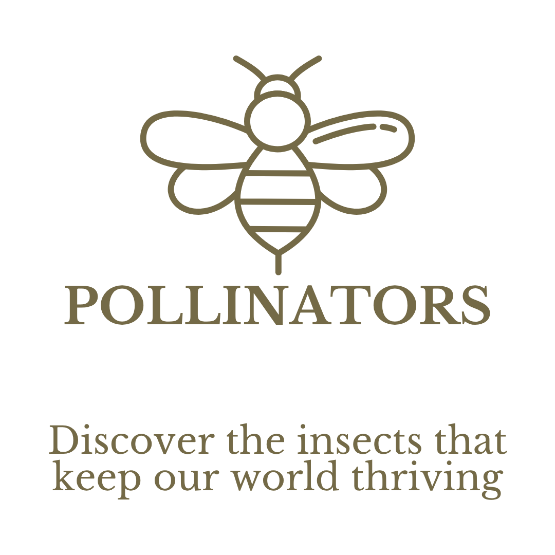 pollinators