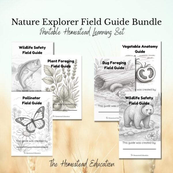 nature explorer field guide bundle