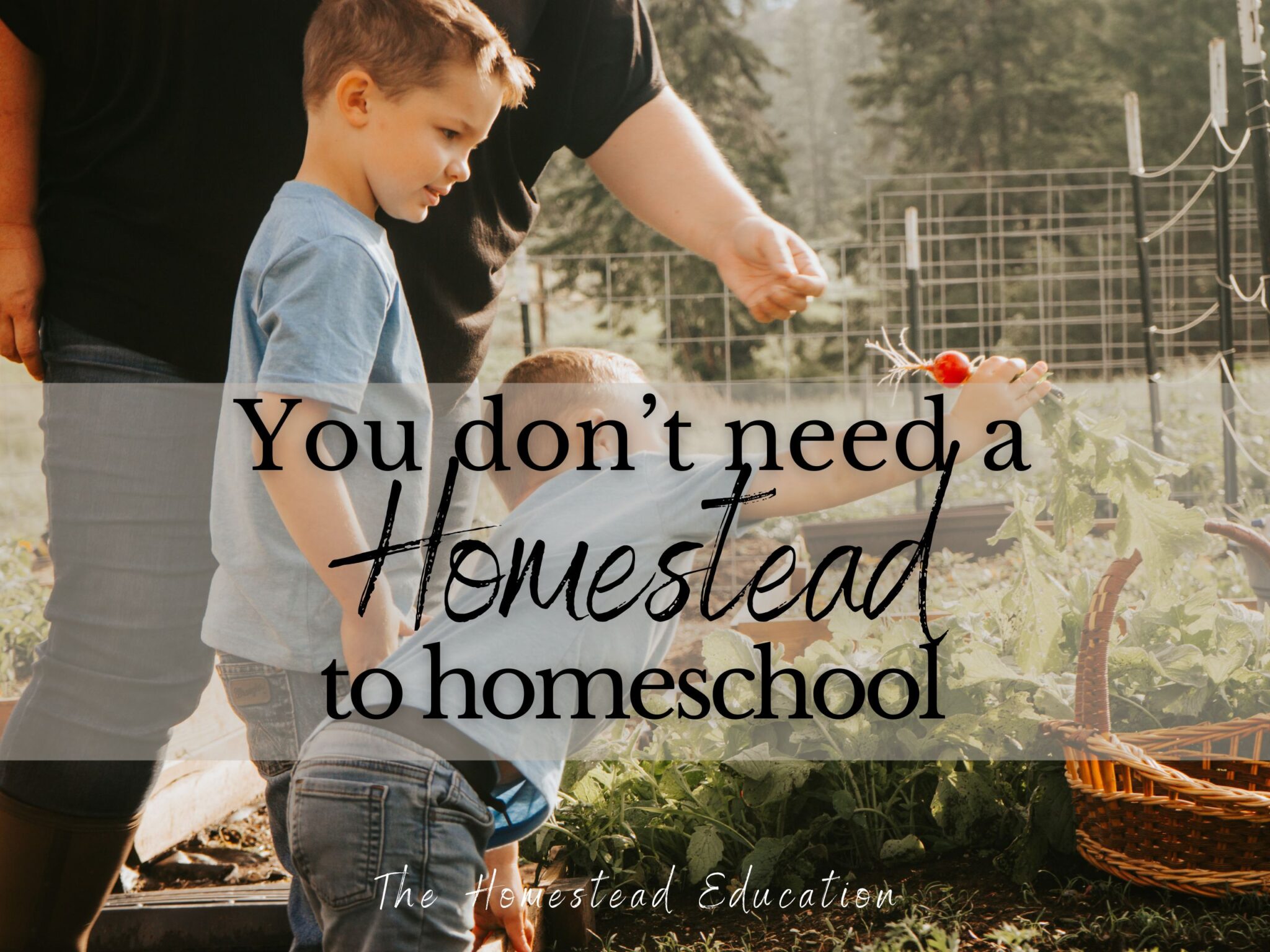 don't need a homestead to homeschool
